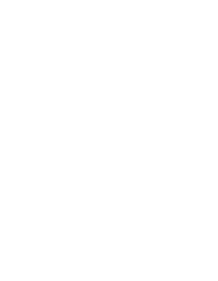 L39
